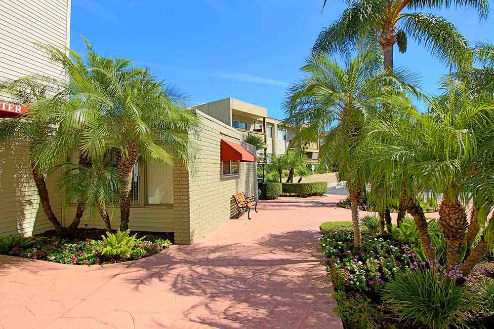landscaped courtyard walkways with palm trees