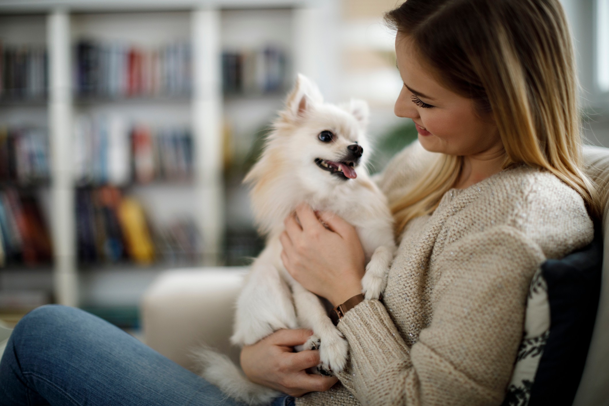 Arbor Park Apartments pet policy